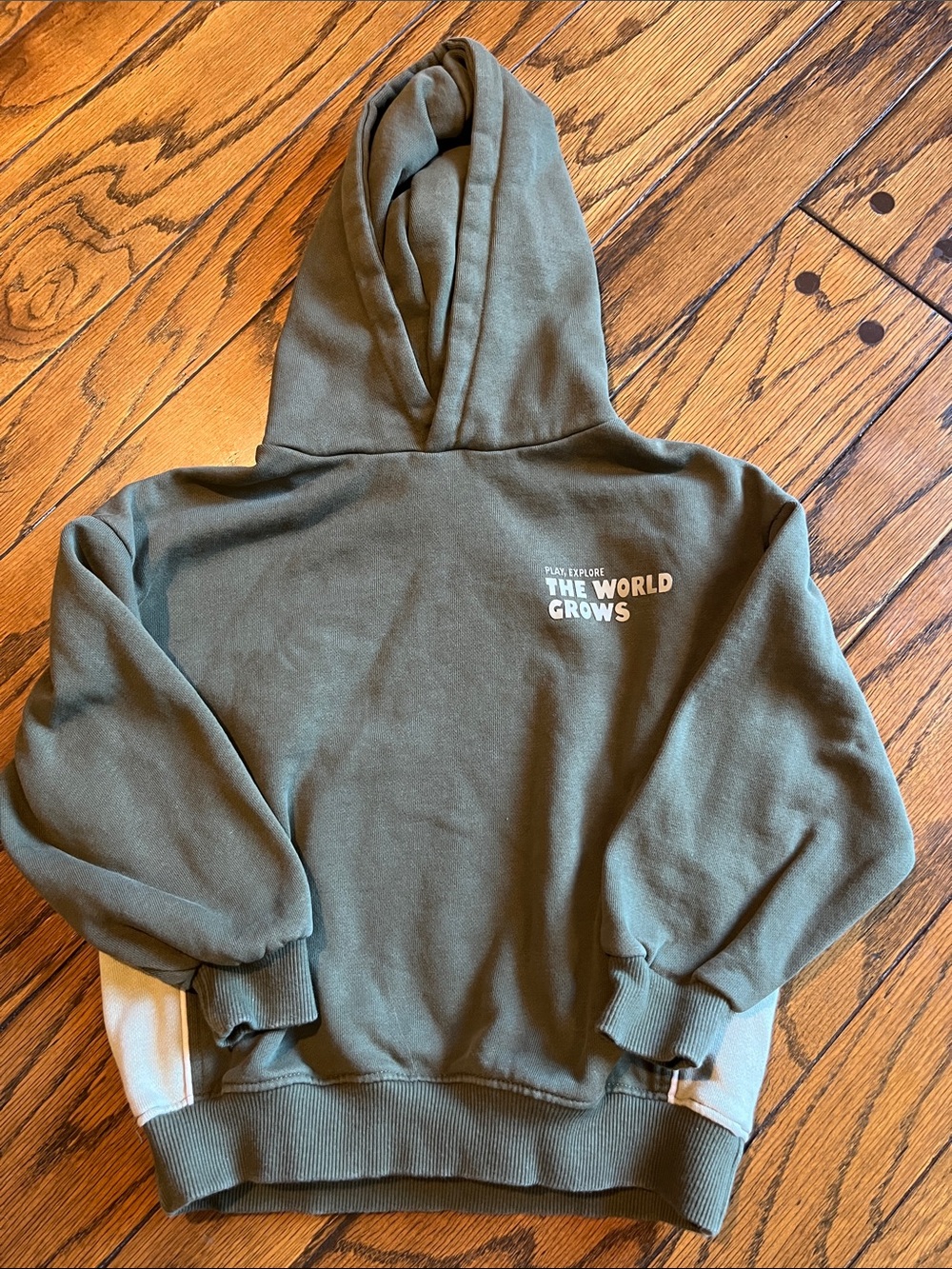 Size 6 Zara Hoodie